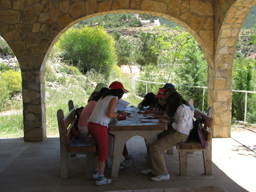 ACTIVITATS COSMOF&Iacute;SICA-HERBARIO